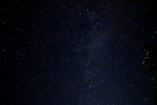 the night sky is filled with stars and trees