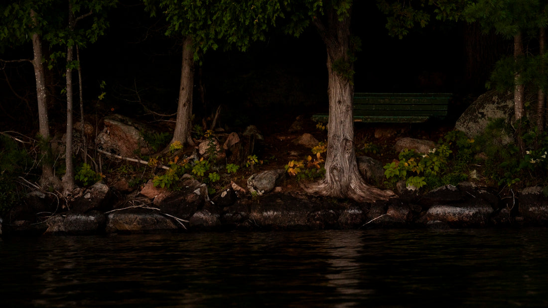 a bench sitting on the shore of a lake at night