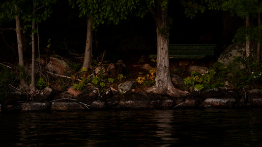 a bench sitting on the shore of a lake at night