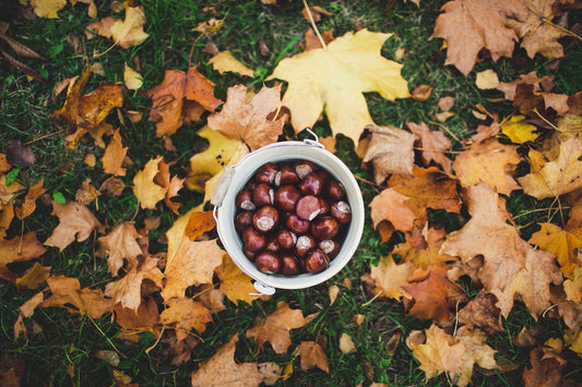 bowl of fruits on grass with fallen brown leaves