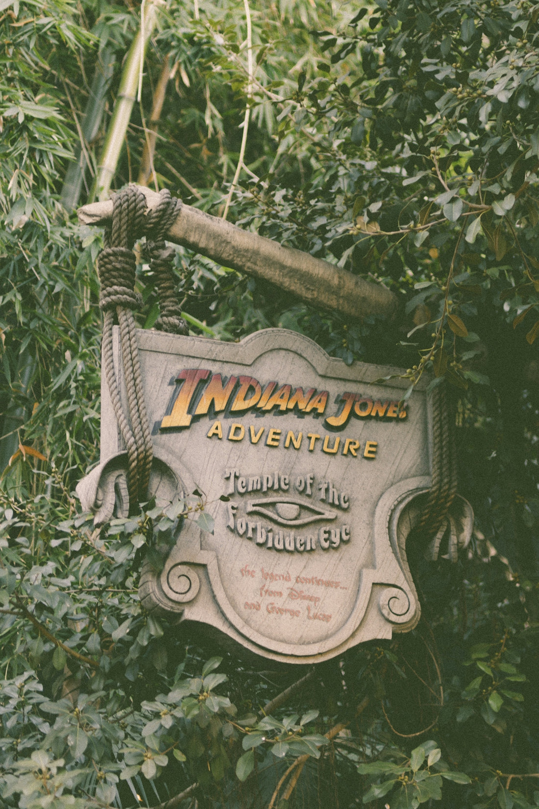 there is a sign in the middle of the trees