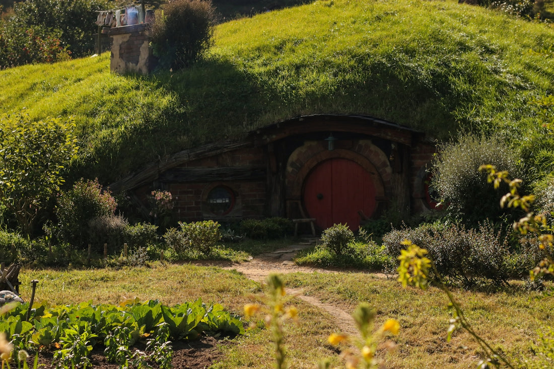 A hobbot with a red door in the middle of a field