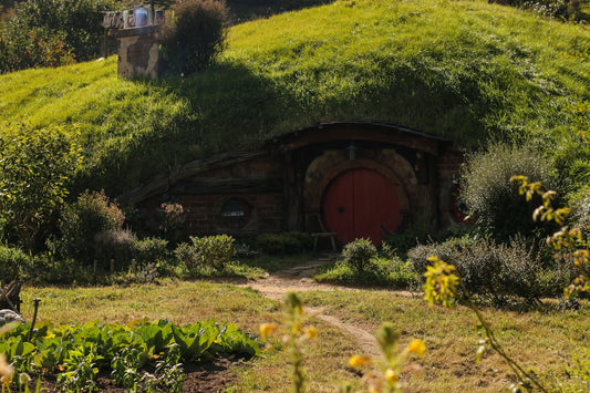 A hobbot with a red door in the middle of a field