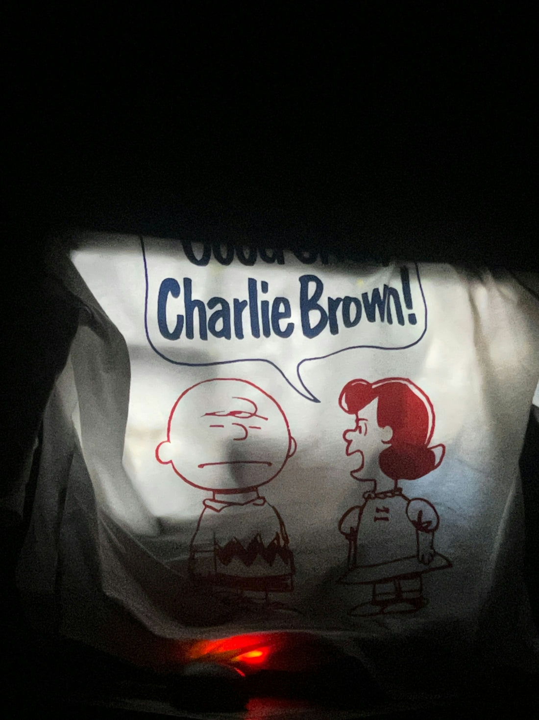 Charlie brown and lucy from peanuts cartoon.