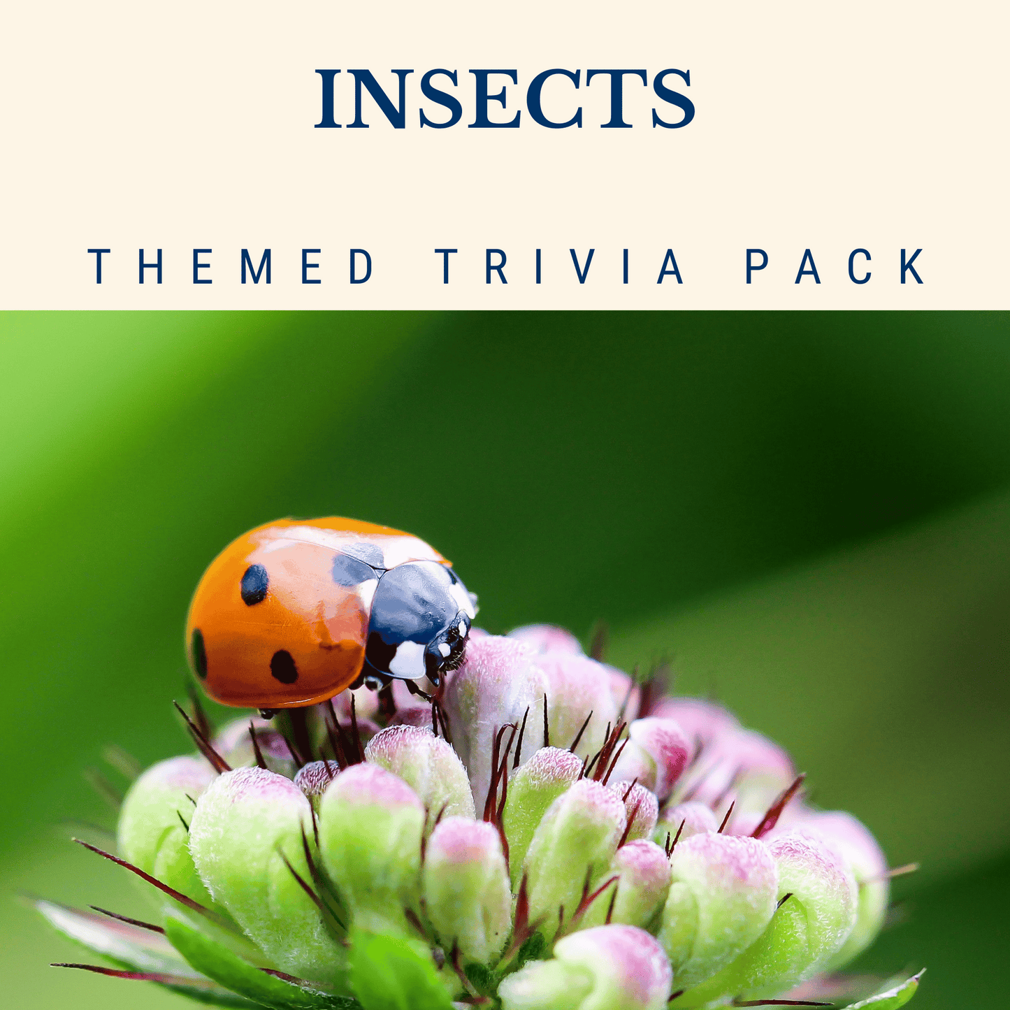 Insects Trivia Night Theme Pack – Educational Bug-Themed Trivia Event Covering Fascinating Insect Facts