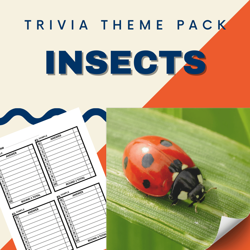 An image of a ladybug on a leaf, from the Insects Trivia Night Theme Pack by Cheap Trivia, is featured alongside trivia question and answer sheets.