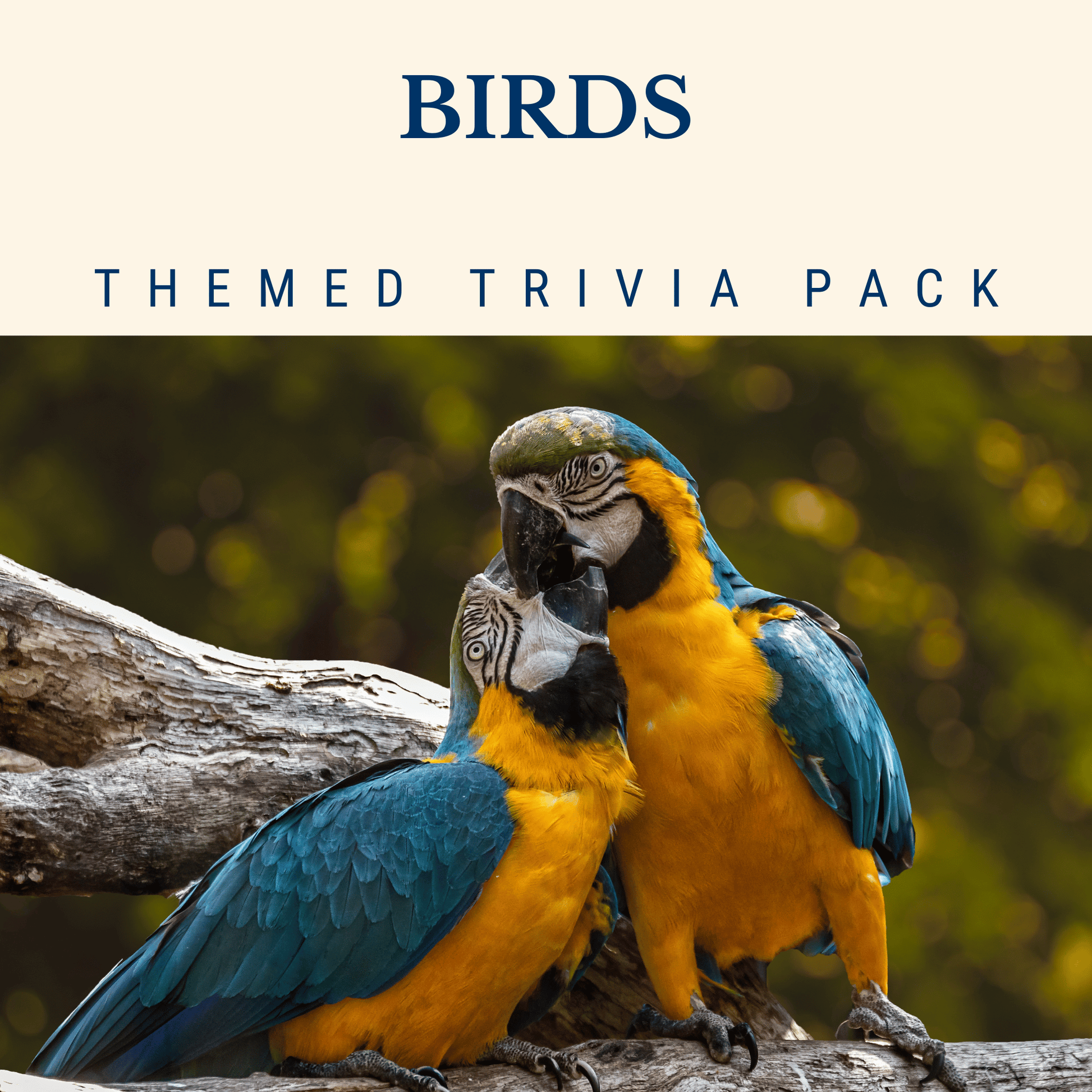 Two blue and yellow parrots perch on a branch, surrounded by lush greenery. Above them, the text reads: "Birds Trivia Night Theme Pack" by Cheap Trivia – perfect for nature enthusiasts and bird-watching fans.